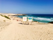 surf-beach-fuerteventura-ales-consulting-international