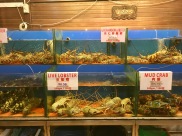 Lobster, Crab & Co Fresh Seafood Restaurants Langkawi Malaysia